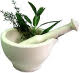 Holistic Doctor