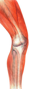 Acupuncture for Joint Replacement