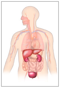 Acupuncture for Bladder Dysfunction