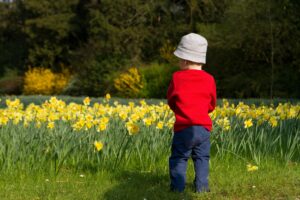 Immune Boost, Coronavirus and More