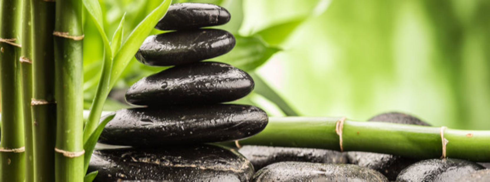 Facilitate personal awareness and create positive health outcomes