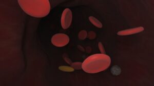 blood cells