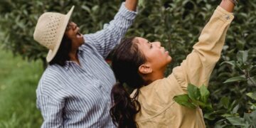 Acupuncture and Classical Chinese Medicine: Fall Newsletter 2025