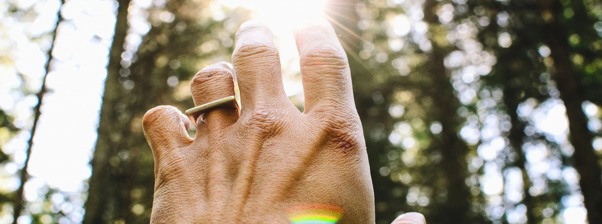 Wellness Retreats in the Berkshires with your own Naturopathic Doctor