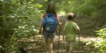 Spring Acupuncture and Classical Chinese Medicine